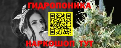 герыч Будённовск